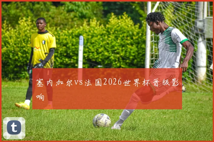 塞内加尔vs法国2026世界杯晋级影响