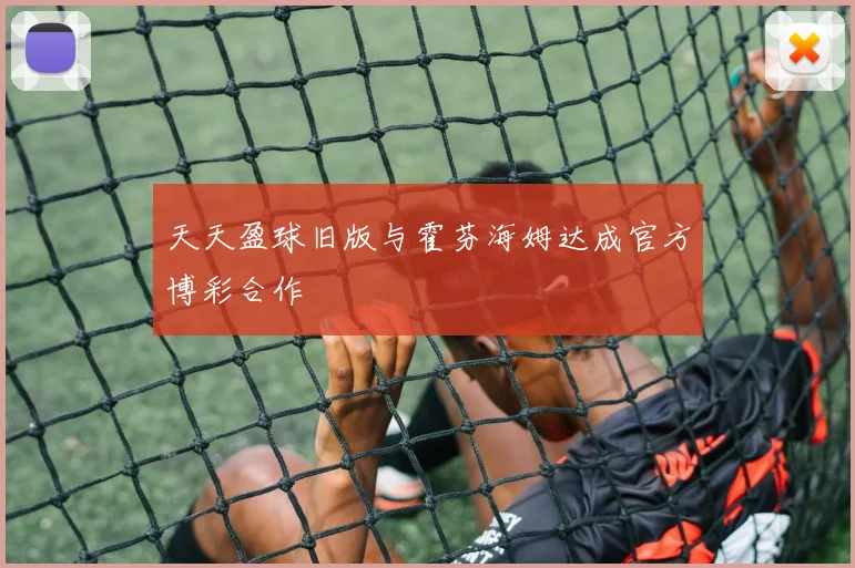 天天盈球旧版与霍芬海姆达成官方博彩合作