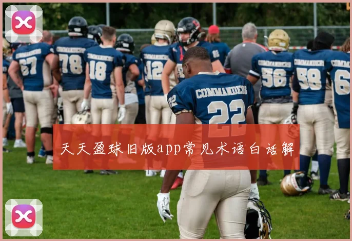 天天盈球旧版app常见术语白话解